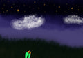 quack at the stars
